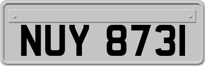 NUY8731