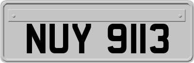 NUY9113