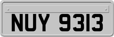 NUY9313