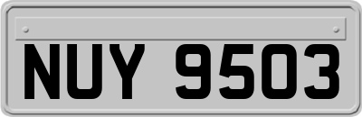 NUY9503