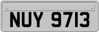 NUY9713