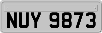 NUY9873