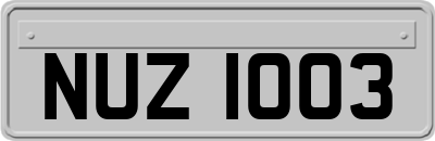 NUZ1003