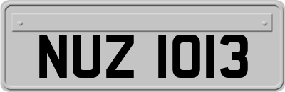 NUZ1013