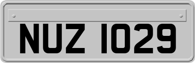 NUZ1029