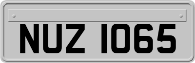 NUZ1065