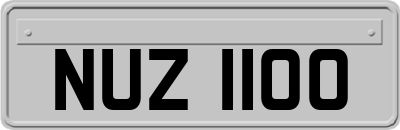 NUZ1100