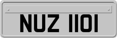 NUZ1101