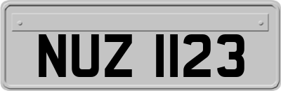 NUZ1123