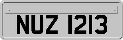 NUZ1213