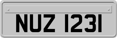 NUZ1231