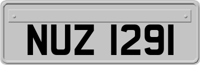 NUZ1291