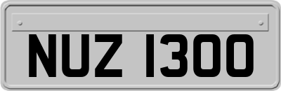 NUZ1300