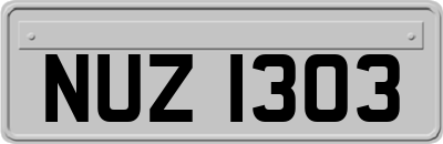 NUZ1303
