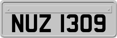 NUZ1309