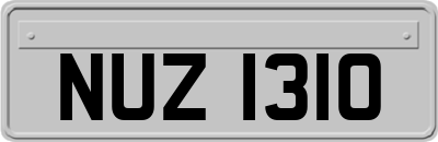 NUZ1310