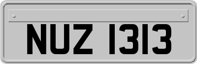 NUZ1313