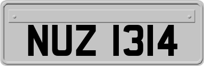 NUZ1314