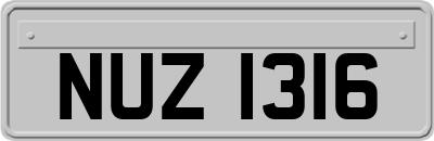 NUZ1316