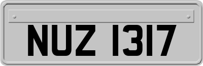 NUZ1317