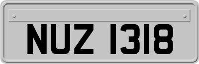 NUZ1318