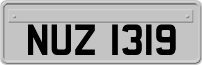 NUZ1319