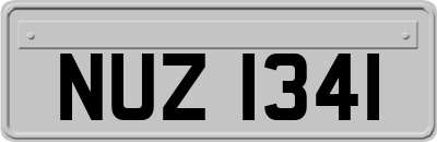 NUZ1341