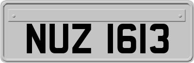 NUZ1613