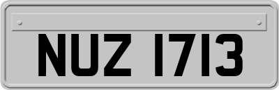 NUZ1713