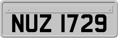 NUZ1729
