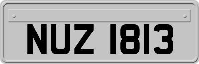 NUZ1813