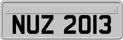NUZ2013