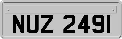 NUZ2491