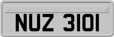 NUZ3101