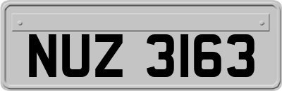 NUZ3163