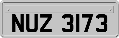 NUZ3173