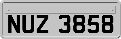 NUZ3858