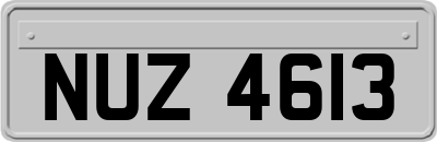NUZ4613