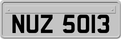 NUZ5013