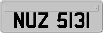 NUZ5131