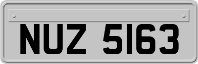 NUZ5163