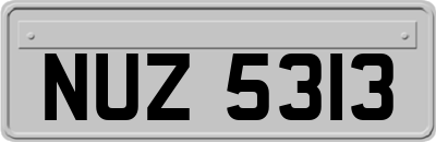 NUZ5313