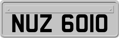 NUZ6010