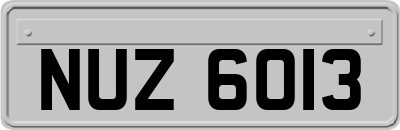NUZ6013