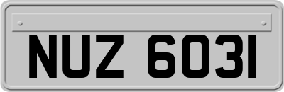 NUZ6031