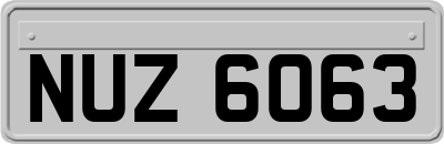 NUZ6063