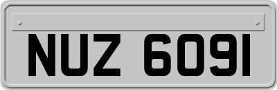 NUZ6091
