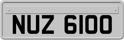 NUZ6100