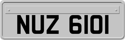NUZ6101
