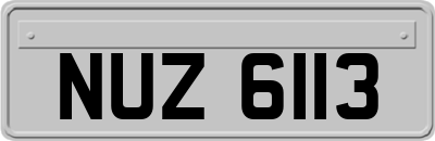 NUZ6113